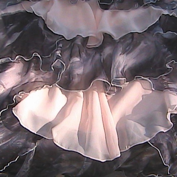 Multicolor Chiffon Light Pink & Gray Layer Skirt - Picture 5 of 8